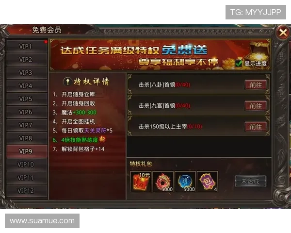 如何利用问鼎VIP系统优化游戏策略，提升战斗力和获取稀有装备的效率